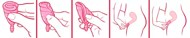 Coletor Menstrual como usar