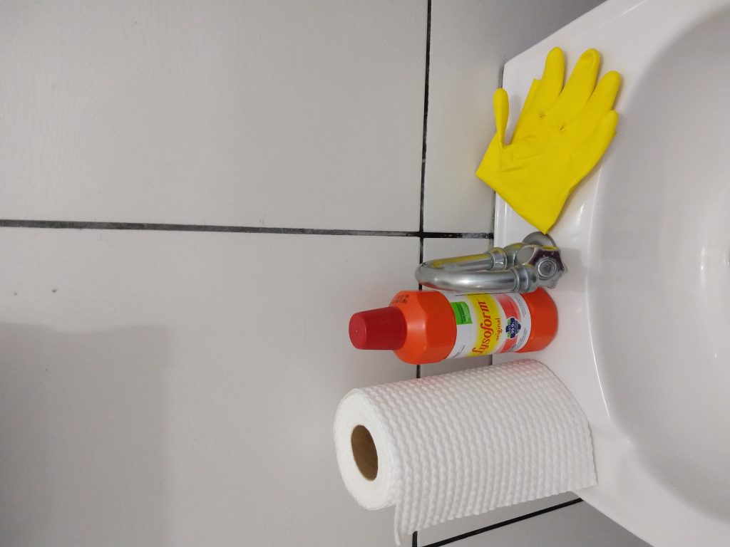 Como higienizar o banheiro sem lavar