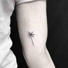 Quanto custa uma tatuagem de palmeira?