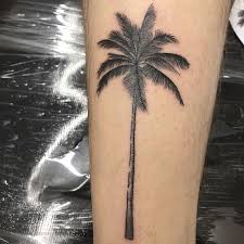 Quais são as melhores regiões do corpo para uma tatuagem de palmeira?